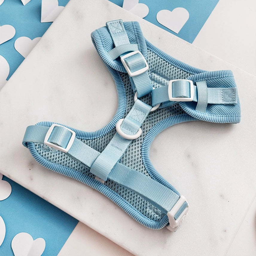 Cocopup harnas verstelbaar BLUE HEARTSTRINGS - Nora-Lou