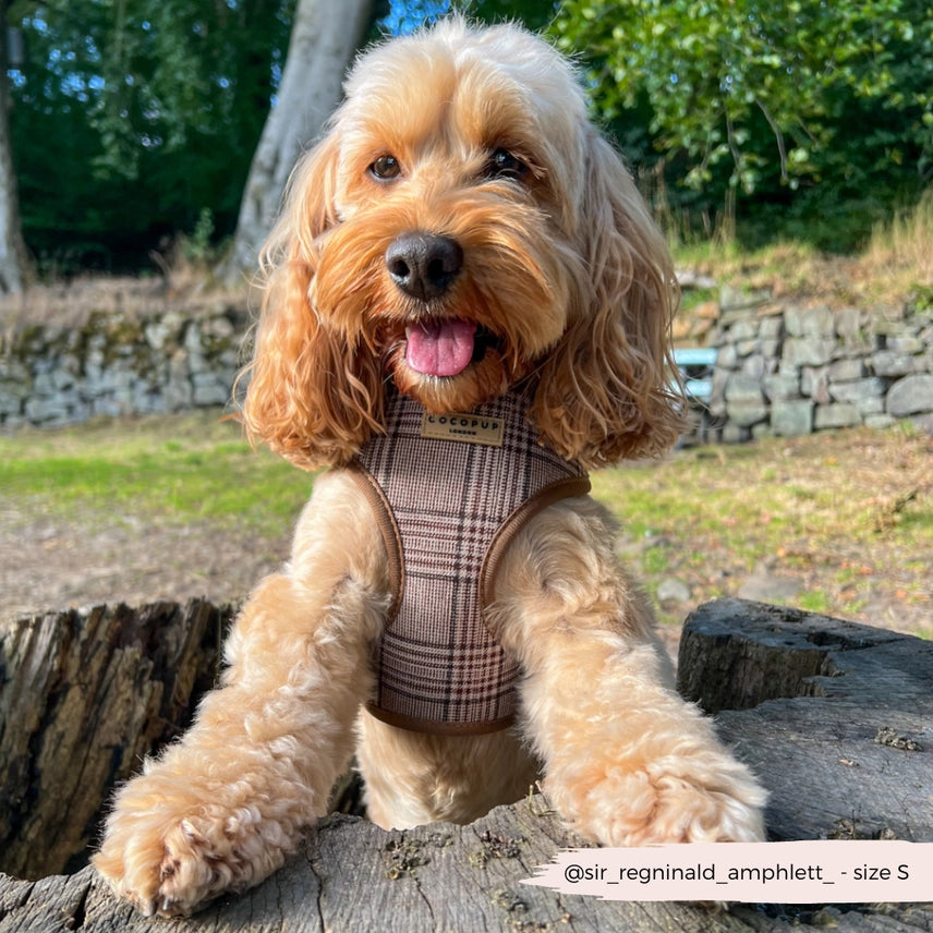 PRE-ORDER Cocopup harnas verstelbaar PUP PLAID