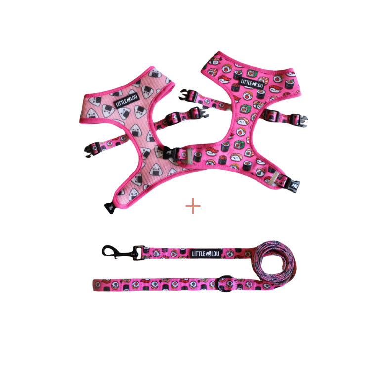 Set: Sushi Lover
