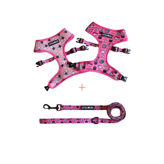Set: Sushi Lover
