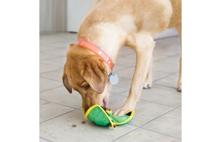 Kong® Speelgoed Ballistic Hide ’n Treat Bal Meerdere kleuren