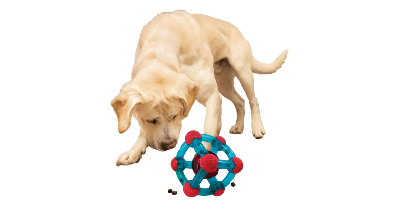 Kong speelgoed rewards tinker blauw kubus
