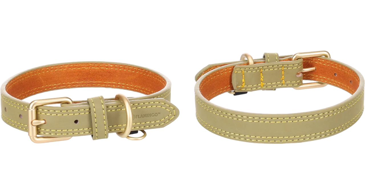 Lederen halsband Virgina (meerdere kleuren)