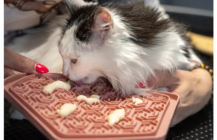 Likmat Jelly (Meerdere kleuren)