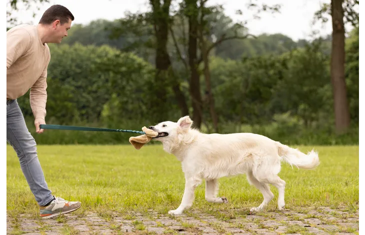 Furtra Chaser Bungee Sheepskin Toy