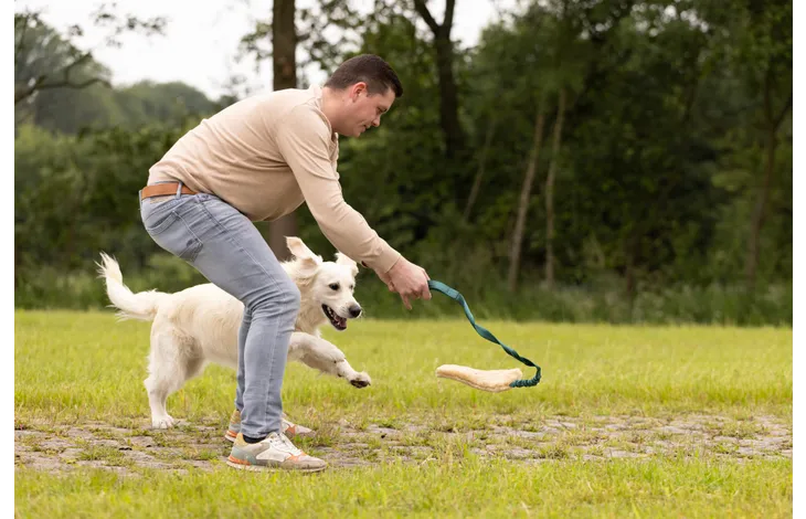 Furtra Chaser Bungee Sheepskin Toy