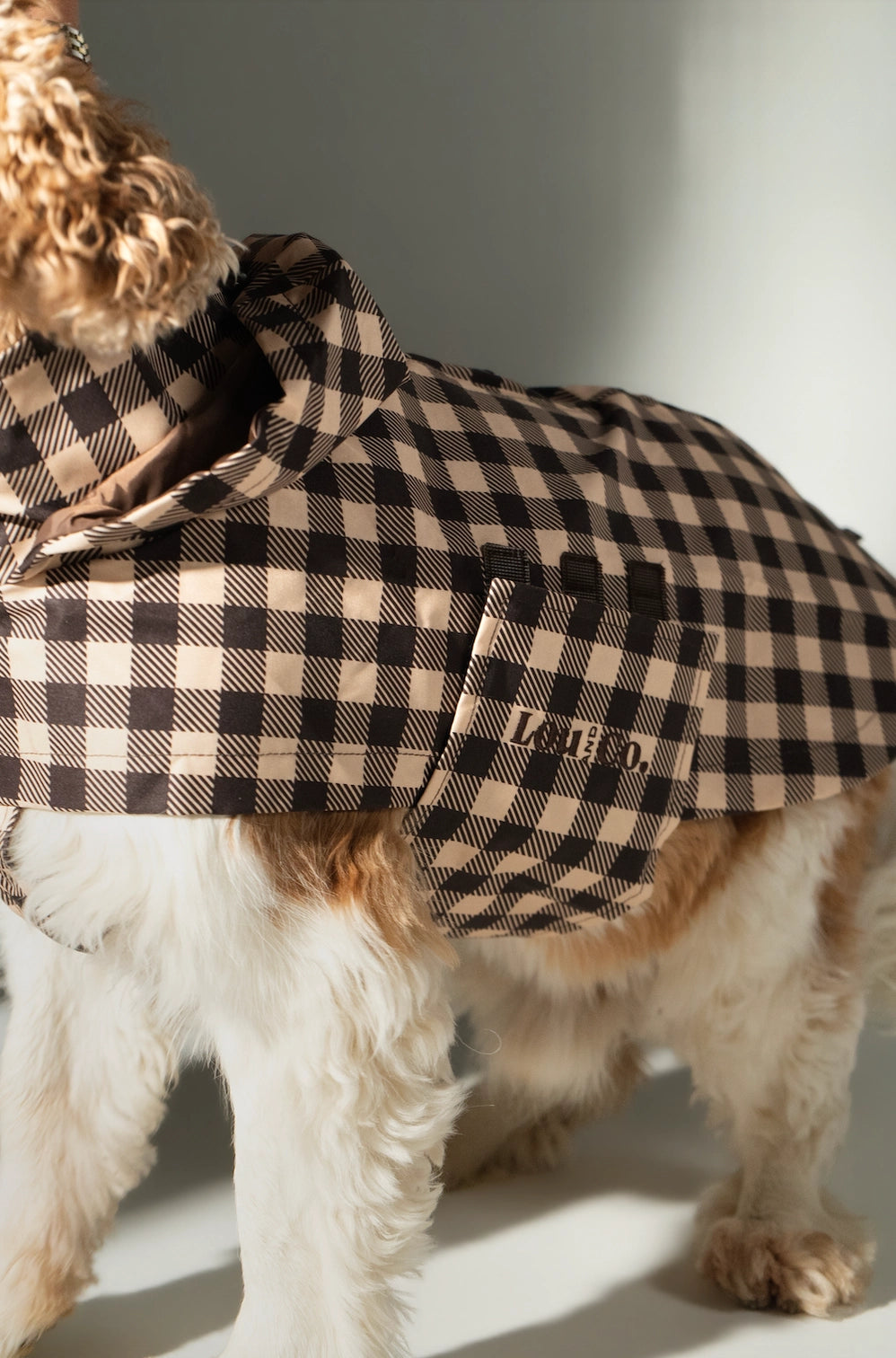 Regenjas hond Checked Brown