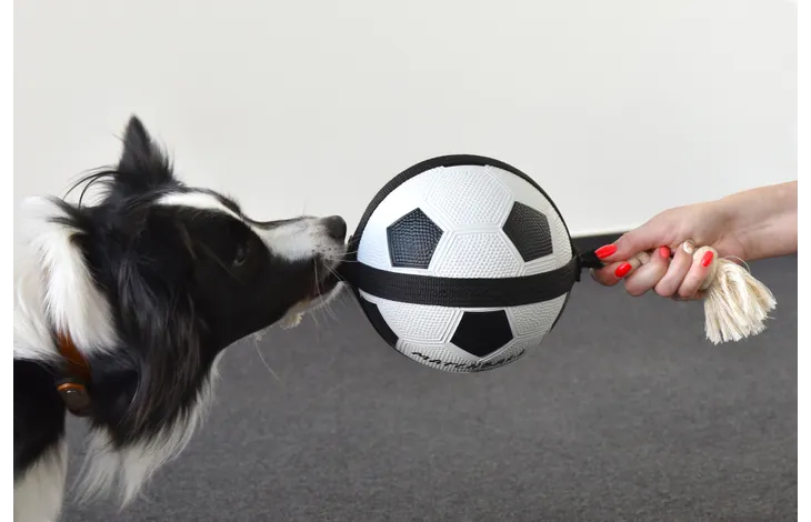 Speelgoed Matchball Voetbal met touw Wit & Zwart