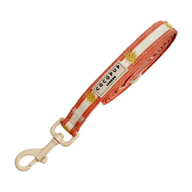 Cocopup leiband SUNSINE & SPRITZ