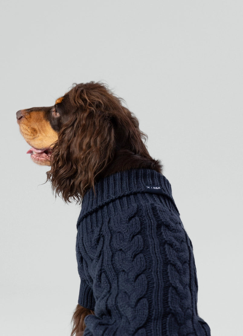 Gebreide trui voor honden - blauw