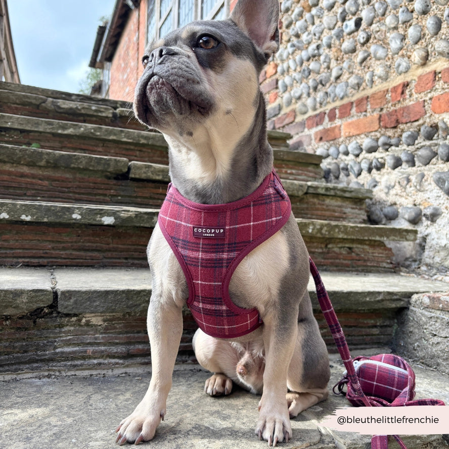 Cocopup harnas verstelbaar Mulberry Plaid