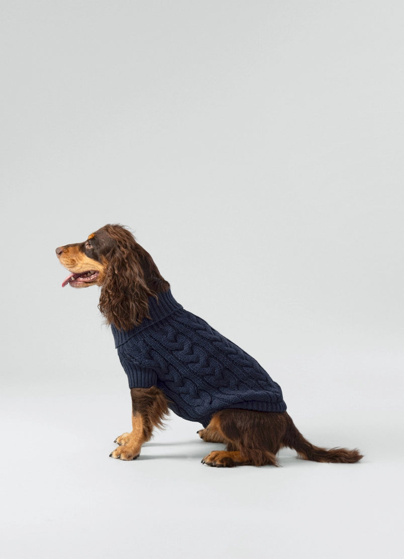 Gebreide trui voor honden - blauw