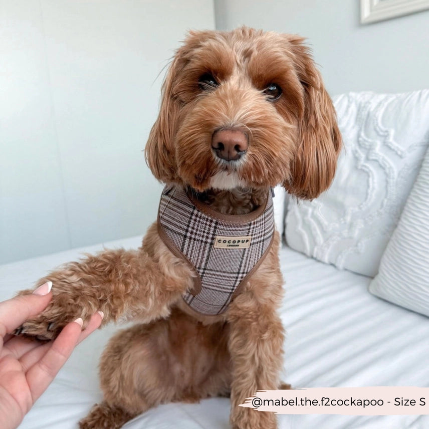 PRE-ORDER Cocopup harnas verstelbaar PUP PLAID