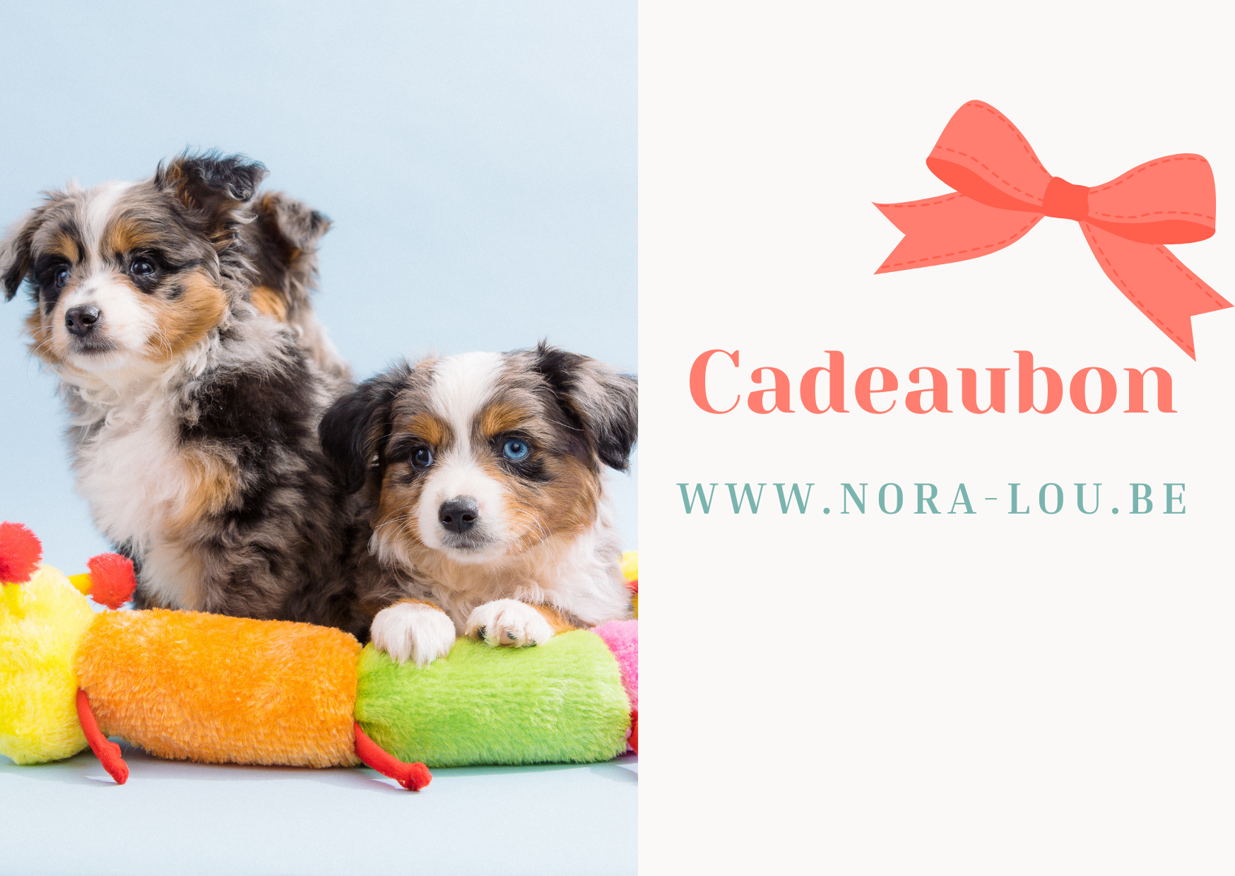 Nora-Lou cadeaubon - Nora-Lou