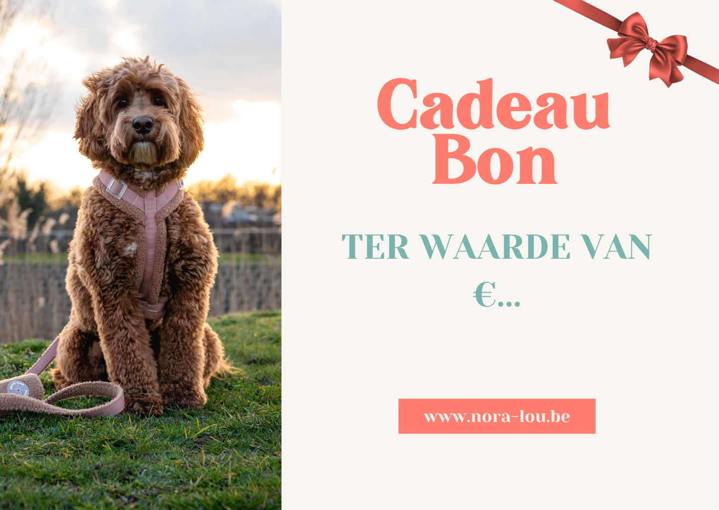 Nora-Lou cadeaubon