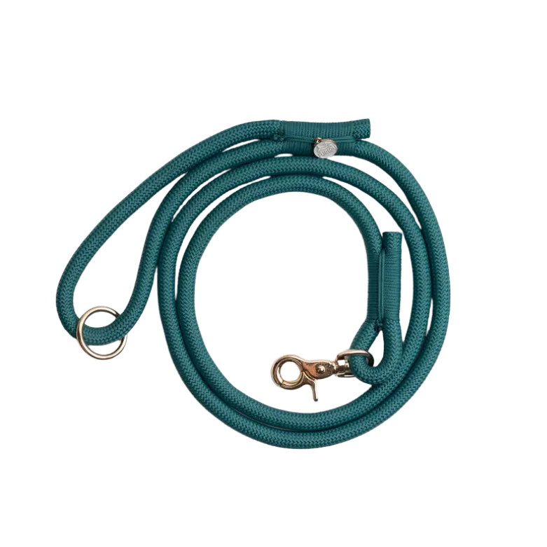 Furlou braided dog leash - BLUE