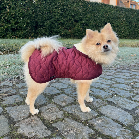 Winterjas Koda (meerdere kleuren) - Nora-Lou