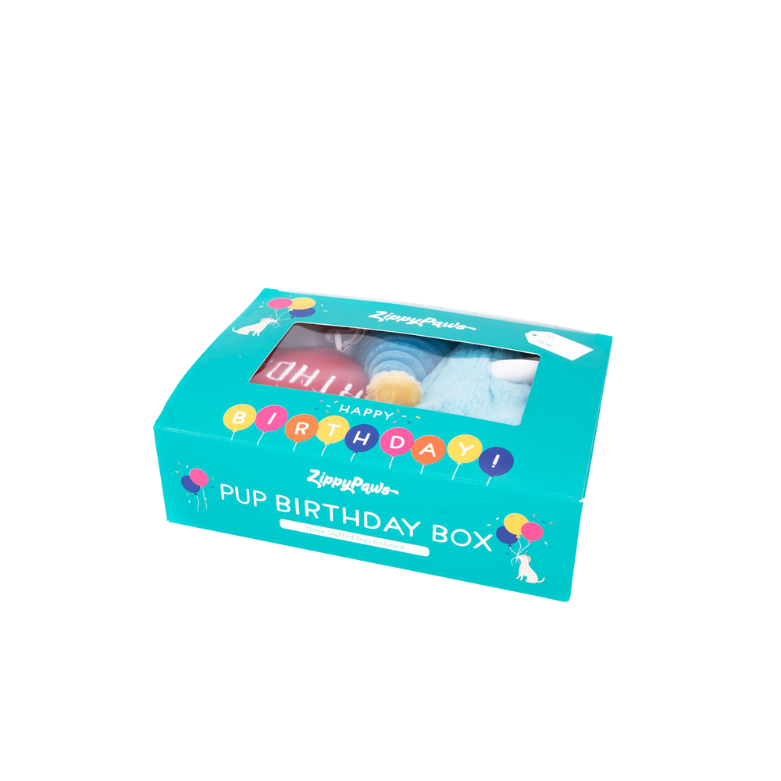 Pup Birthday Box blue