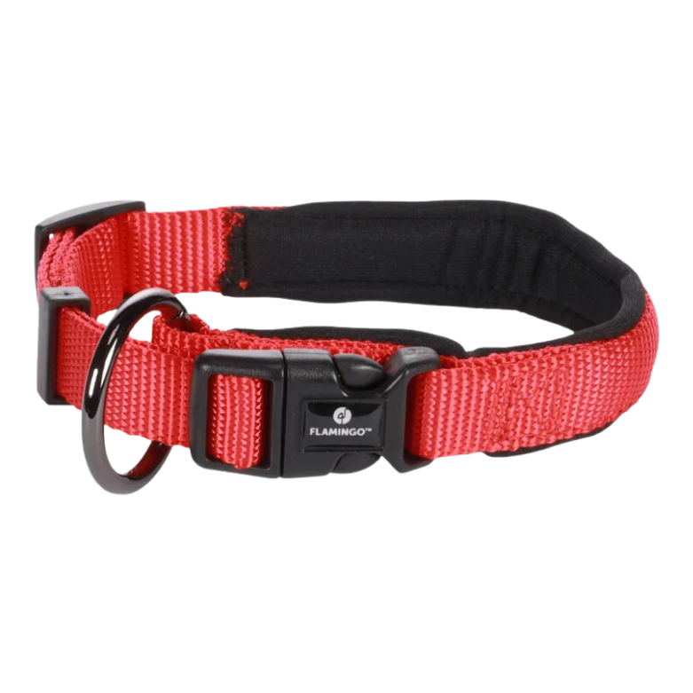 Halsband Abbi met neopreen (meerdere kleuren)