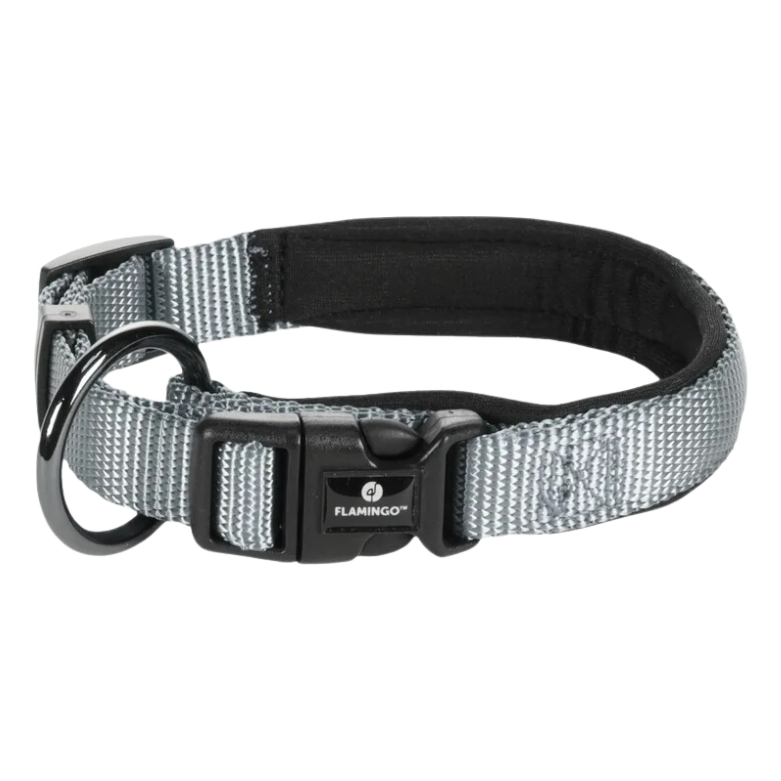 Halsband Abbi met neopreen (meerdere kleuren)