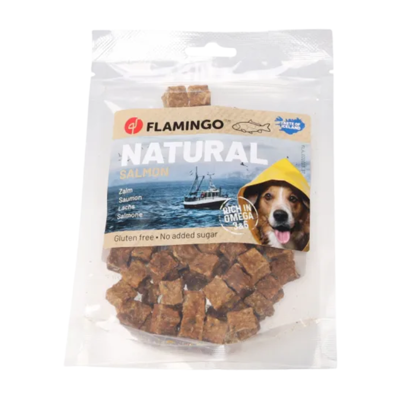 Snack Nature Blokjes met zalm (75gr)