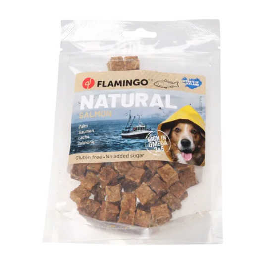 Snack Nature Blokjes met zalm (75gr)