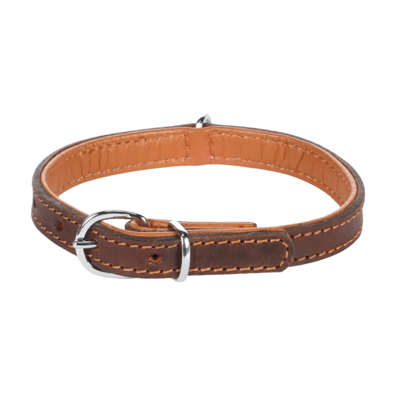 Lederen Halsband Gevoerd Memphis Bruin