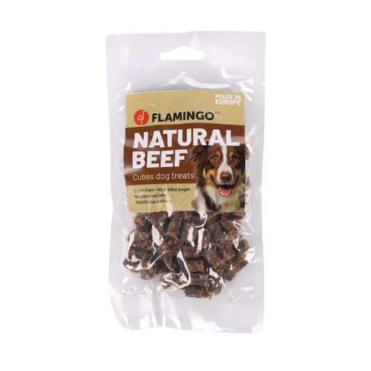 Snack Nature Blokjes met Rund (80gr)