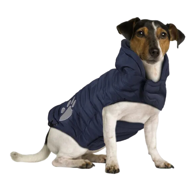 Hondenjas Paw Blauw