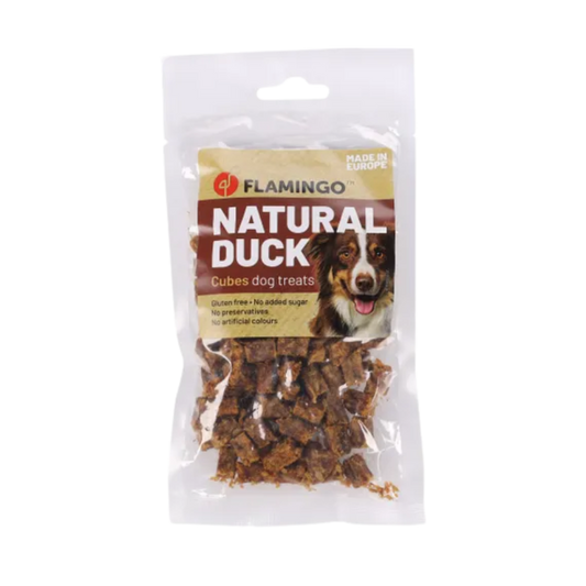 Snack Nature Blokjes met Eend (80gr)