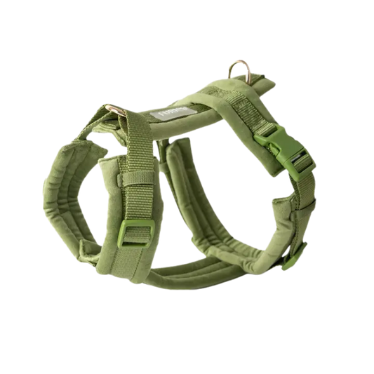 Furlou Y-shaped Harness Velvet - GREEN