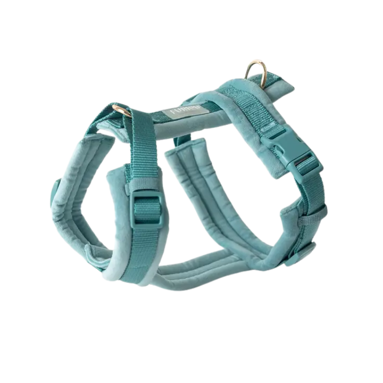 Furlou Y-shaped Harness Velvet - BLUE