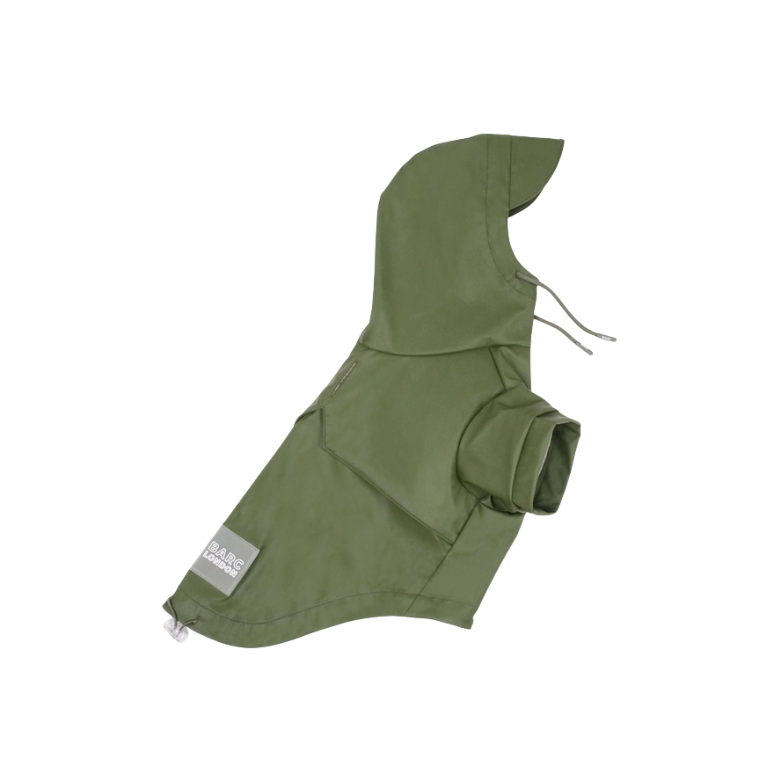 Regenjas hond Groen