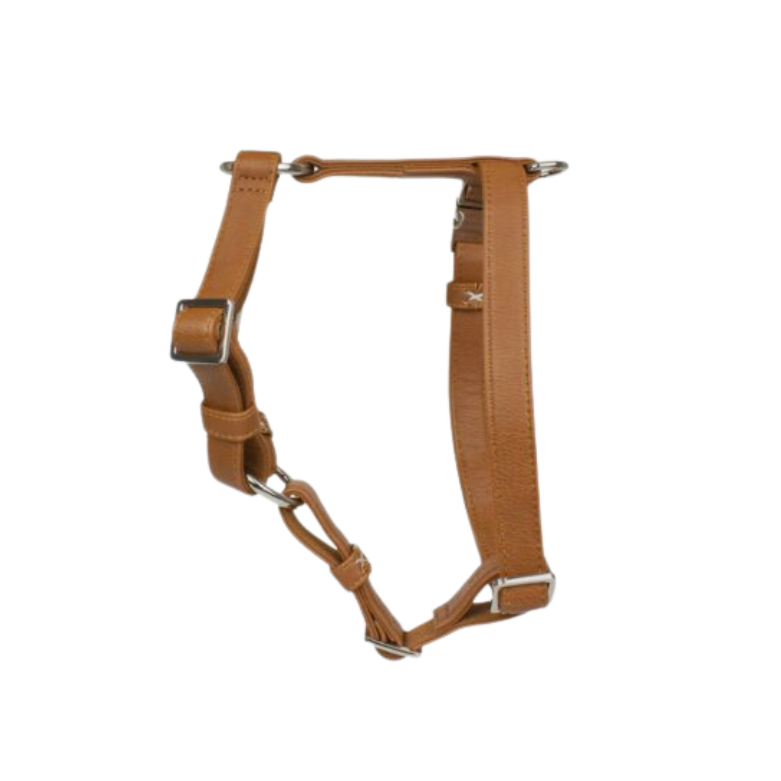 Harness/harness Vegan leather Confidence
