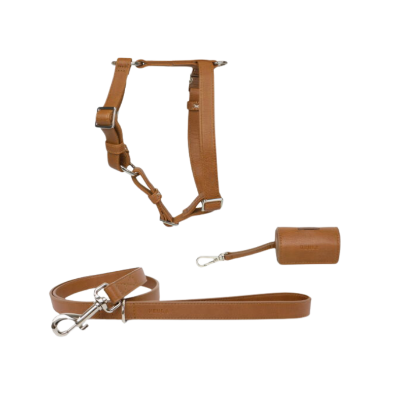 Set: Confidence - Harness