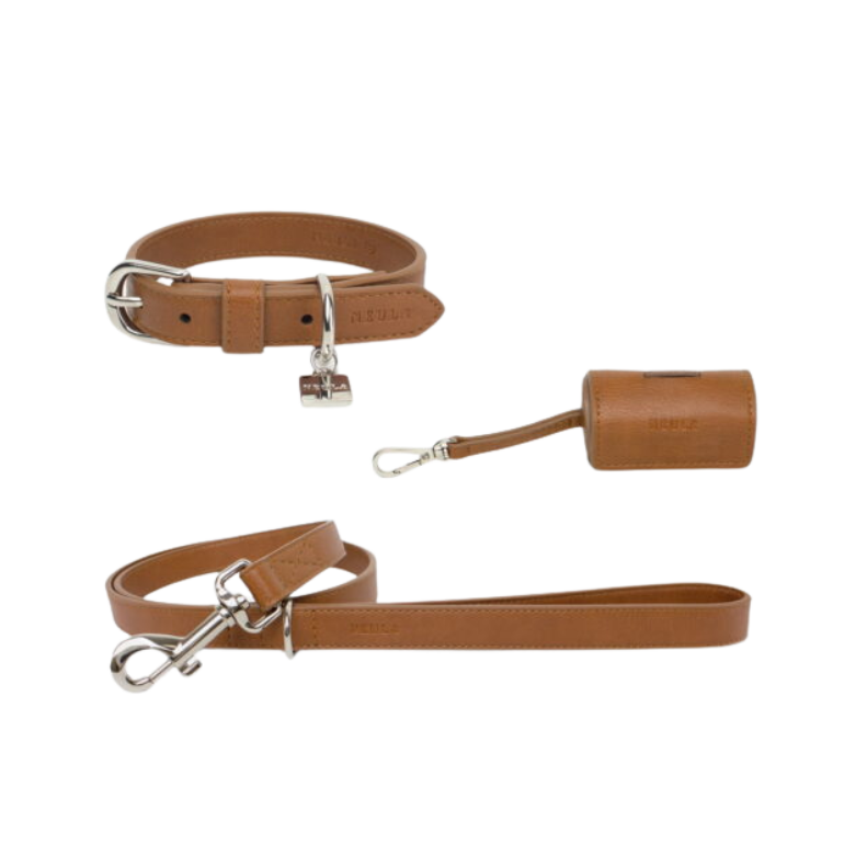 Set: Confidence - Halsband