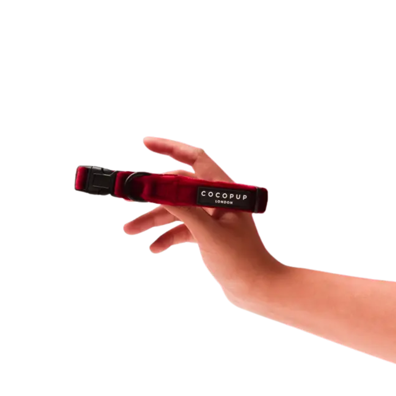 Cocopup halsband Berry red