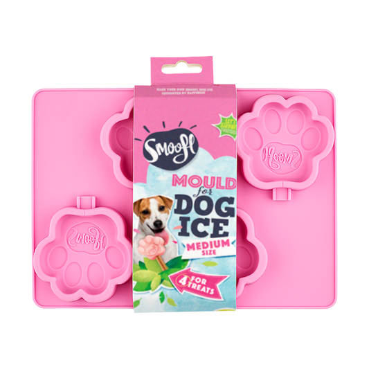 Smoofl Ice Cream Mold - Medium