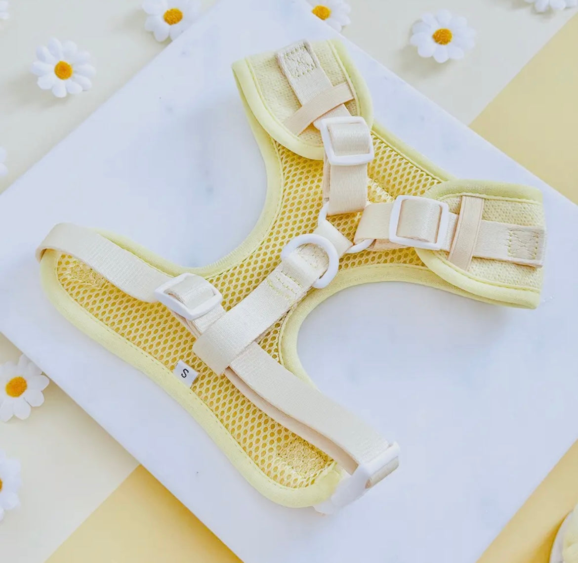 Cocopup harnas verstelbaar BUTTERCUP PUP - Nora-Lou