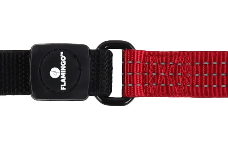 Zobra Red Leash
