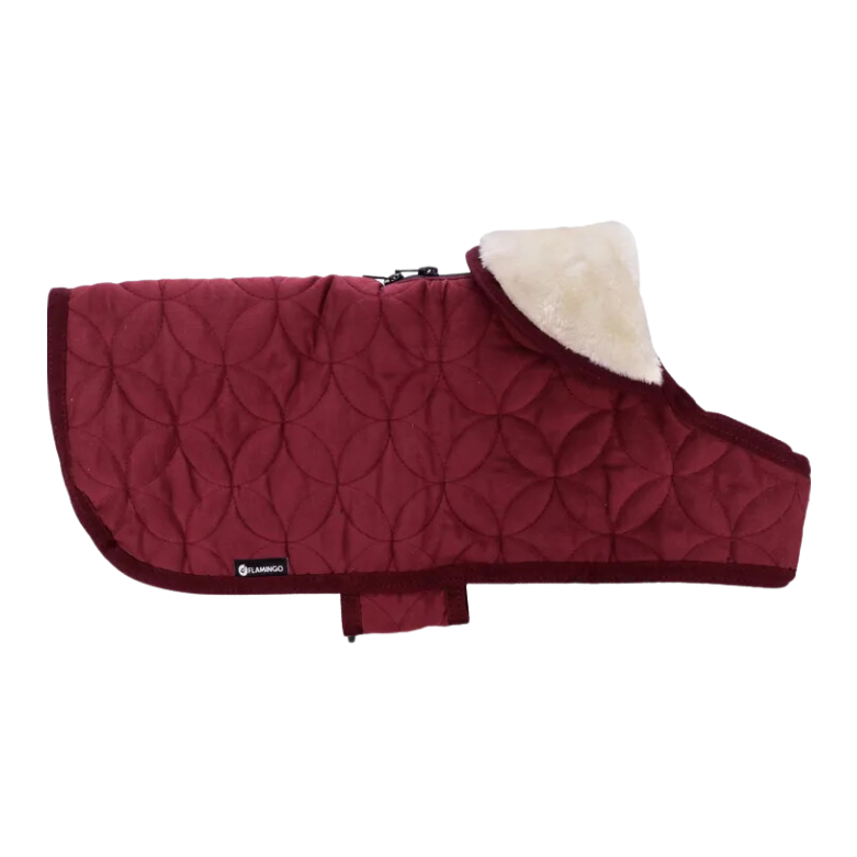 Winterjas Koda (meerdere kleuren)