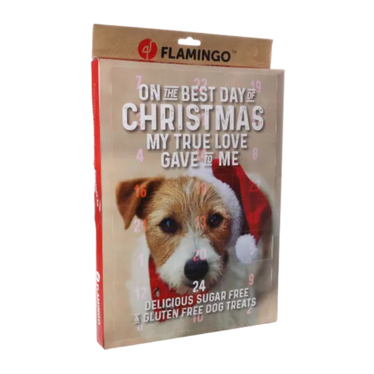 Adventskalender hond - Nora-Lou