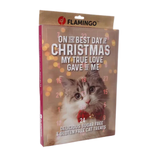 Adventskalender kat - Nora-Lou