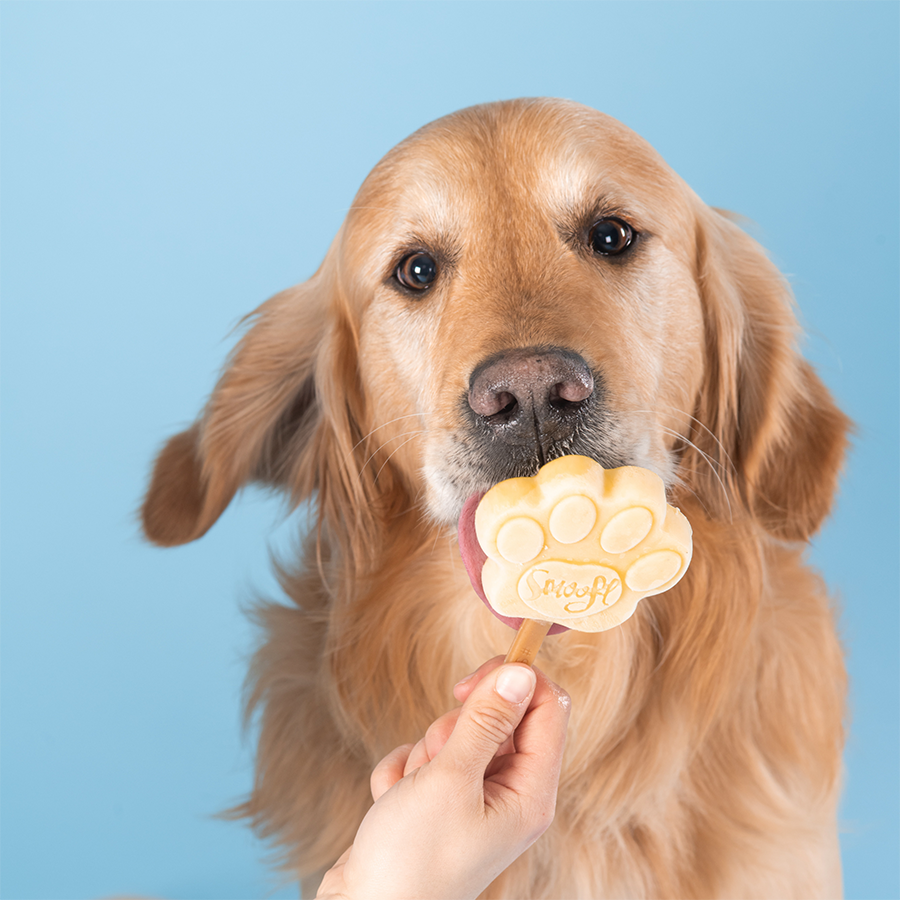 Smoofl Mix Peanut butter voor hondenijs