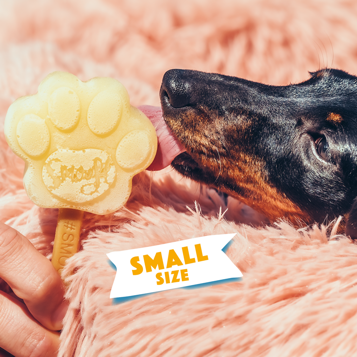 Smoofl Ice Cream Mold - Small