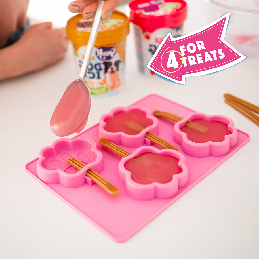 Smoofl Ice Cream Mold - Medium