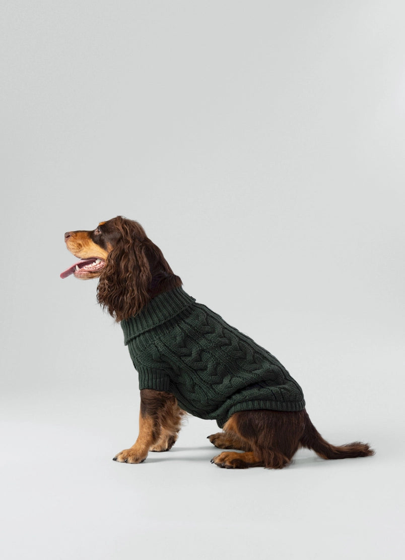 Gebreide trui voor honden - groen