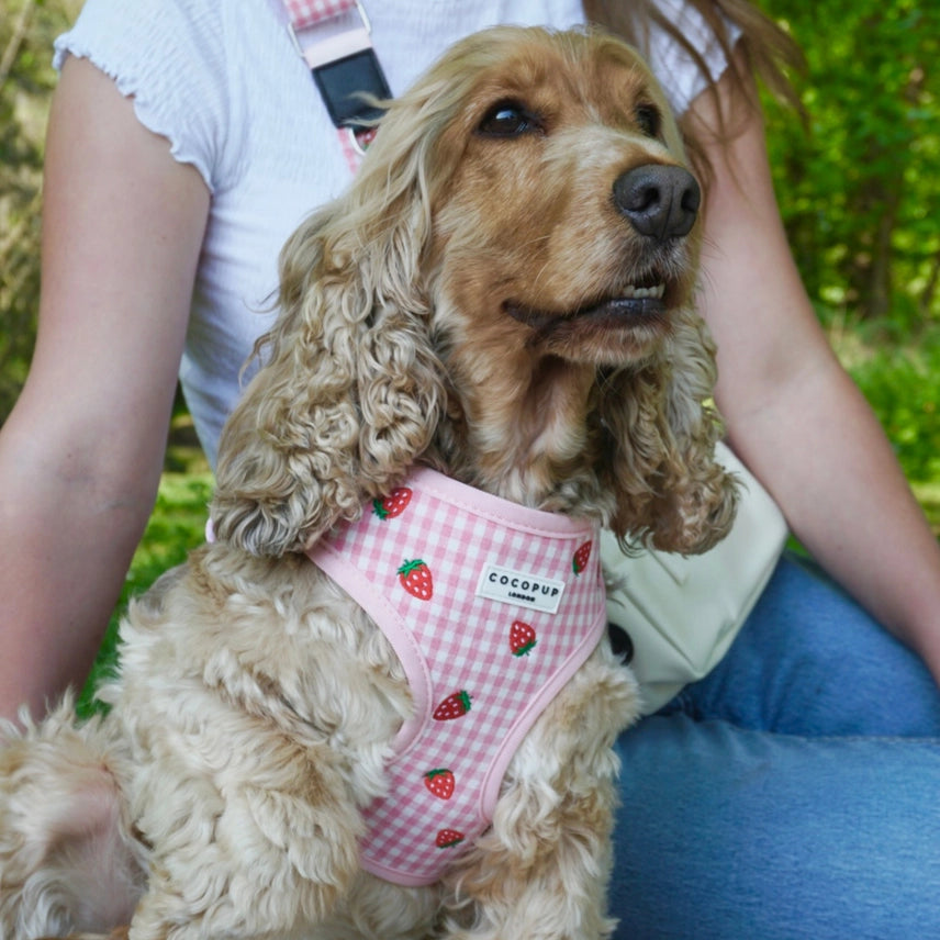 Cocopup harnas verstelbaar STRAWBERRY