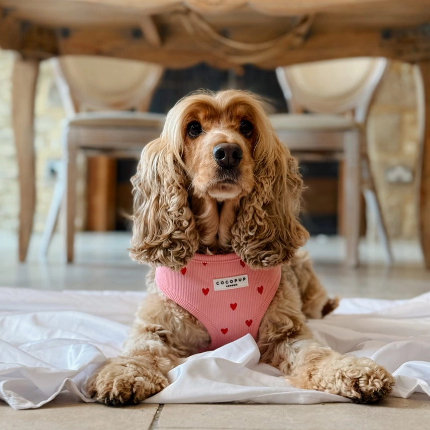 Cocopup harnas verstelbaar PINK HEARTSTRINGS