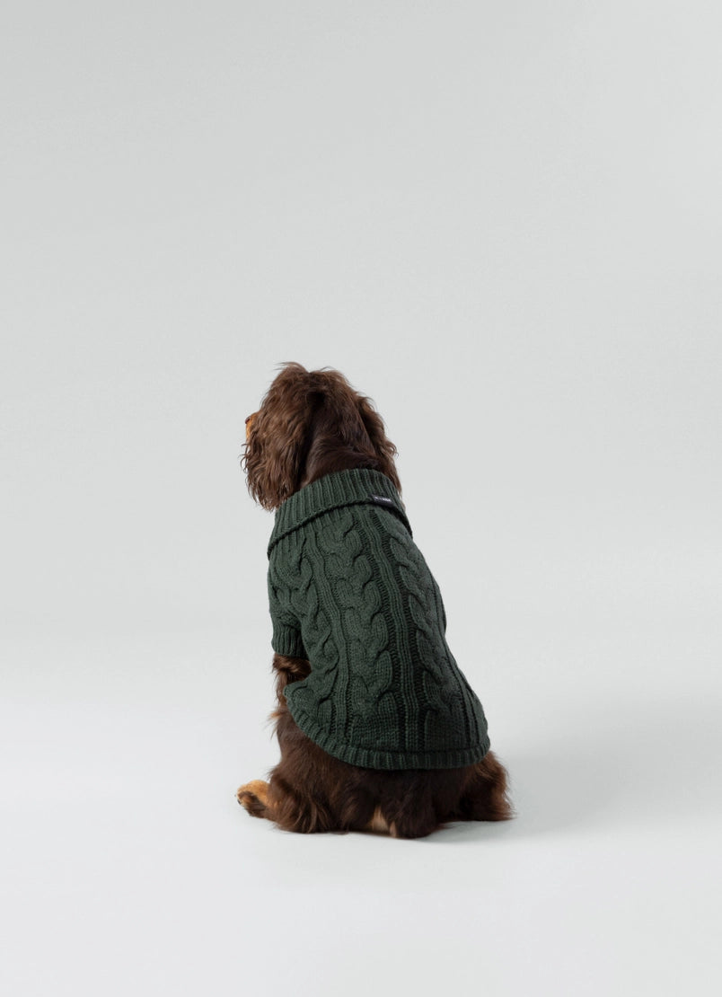 Gebreide trui voor honden - groen